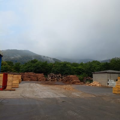 This media file depicts an outdoor scene at a lumberyard or sawmill in Montgailhard, France, under an overcast sky. The primary subjects are large stacks of lumber and logs, arranged neatly in piles. In the foreground, there are stacks of lighter-colored, sawn lumber, appearing to be planks or beams. To the right and center, there are substantial piles of rougher, round logs of various sizes, suggesting raw timber. Behind the lumber piles, a dense line of green trees forms a backdrop, leading up to a misty, forested mountain in the distance. The weather appears to be cool and possibly damp, with a thick layer of clouds obscuring the sky and creating a hazy effect on the mountainside.
A concrete building with a dark roof is visible on the right side of the image, behind some of the log piles. The ground is a mix of paved asphalt and dirt or gravel, with some scattered wood scraps and debris. The overall impression is one of a working industrial site focused on wood processing. There are no people visible in the image. The time of day is indeterminate due to the overcast conditions, but the diffused light suggests it could be daytime, perhaps morning or afternoon. The scene is quiet and still, with no indication of any immediate activity.