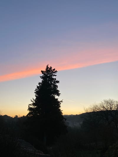 The scene depicts a twilight landscape in Bonnieux, France. A large, dark conifer tree stands silhouetted against the sky, positioned slightly left of the frame's vertical center. The upper sky is a deep blue-purple, transitioning to a lighter blue and then a yellowish-orange near the horizon. A prominent, elongated horizontal band of pink and orange clouds stretches across the upper-middle portion of the sky. Two faint white aircraft contrails are visible: one to the left of the conifer and another lower and to the right. The foreground and midground consist of dark, silhouetted natural vegetation, including additional trees and shrubs, with some bare branches visible on the right. Distant undulating hills are discernible on the horizon, also in silhouette, under a faint atmospheric haze. No human subjects, animals, or artificial structures are visible, apart from the contrails.
