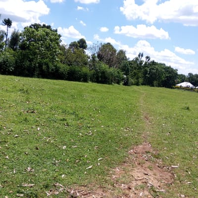 The image depicts a grassy field in Keyian ward, Kenya. A dirt path runs through the field, from the foreground to the middle ground. Trees and dense vegetation border the field. A white-roofed building is visible in the background, beyond the trees. The sky is blue with scattered white clouds. Debris, likely fallen leaves, is scattered on the grass. There are no people visible.