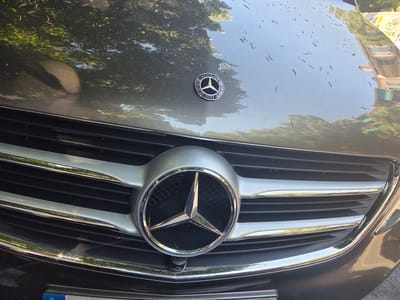 The image shows the front grille and hood of a dark gray Mercedes-Benz car. The Mercedes-Benz emblem, a three-pointed star within a circle, is prominently displayed on the grille. The hood is speckled with small, dark debris, possibly leaves or twigs, and reflects the surrounding trees and sky. The car appears to be parked on a street, as indicated by a license plate visible at the bottom edge of the image. The environment suggests an outdoor setting, possibly in a residential or commercial area. The scene is static and focused on the vehicle's details.