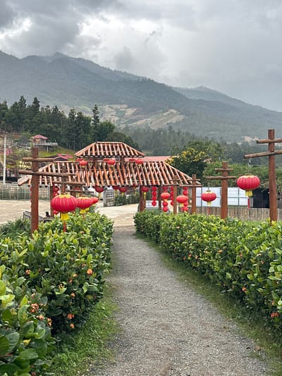 This image depicts a gravel pathway in Ban Mai Saha Sampan, Thailand, leading towards a complex of rustic wooden structures adorned with numerous red lanterns. The path, light gray and curving gently, is flanked on both sides by dense green hedges featuring small orange-red flowers. Overhead, a series of interconnected wooden pergolas, constructed from logs and planks, form an archway-like entrance, from which dozens of spherical red Chinese lanterns with yellow accents are suspended.
In the mid-ground, behind the lanterns and structures, several buildings with dark reddish-brown roofs are visible. To the far left, a small, elevated wooden hut with a red roof stands on a platform. The background is dominated by a range of steep mountains covered in dense green foliage, with some sections exhibiting lighter, possibly cleared or terraced agricultural land. The sky is uniformly overcast with heavy grey clouds. No individuals are present, and no actions or interactions are depicted. A white sign with blue text is partially visible through the structures on the right side.