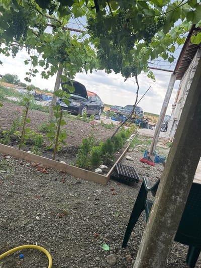 The image depicts an outdoor scene in Mlekarevo, Bulgaria. In the foreground, a gravel path is visible, with a yellow hose coiled on the left side. A wooden border frames a garden bed containing young plants and two thin stakes. Beyond the garden, a dark-colored car with its hood open is parked on a dirt area. Several other vehicles, including what appears to be a smaller off-road vehicle and a van, are also present in the background. Grapevines laden with green grapes hang overhead, with large green leaves and vines dominating the upper portion of the image. A section of a rustic building with a tiled roof is visible on the right. Gardening tools, including a broom with a red brush and a shovel, are propped against a concrete pillar. The environment appears to be a rural or semi-rural residential area.