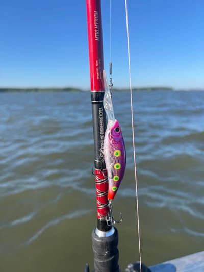 A fishing lure hangs from a fishing rod, suspended over rippling water under a clear blue sky. The lure is pink and purple with yellow spots and sharp hooks. The fishing rod, a metallic red with black accents, has text printed on it that reads "MTRI LHT702M length: 2.10m power: 15-40lb DESIGNED AND ENGINEERING KOREA". The water appears murky and is a greenish-brown color, with small white highlights on the surface. In the distance, a faint, blurred line of trees marks the horizon. The scene suggests an outdoor recreational activity, likely fishing, taking place on a body of water such as a lake or river. The location is identified as Novopichugovo, Russia.