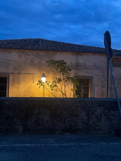 The image shows a street scene in Portoferraio, Italy, at 42.816 latitude and 10.332 longitude, at night. A low stone wall separates the street from a building. The building has a tiled roof and a single story.  A small tree grows between the building and the wall.  The tree is illuminated by a streetlamp. The street is dark and empty. There are no people present. The sky is a deep blue, and there are no clouds visible.  The top of a traffic sign is visible to the right of the image.