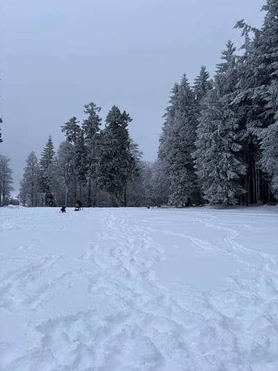 This image depicts a snow-covered winter landscape in Le Hohwald, France. The scene is dominated by a wide, snow-covered field in the foreground and middle ground, bordered by a dense forest of evergreen and some deciduous trees heavily laden with snow and frost, extending into the background and along the right side of the frame. The sky is uniformly overcast and light grey, suggesting a cold, hazy day.
In the middle ground, slightly to the left of the center, two figures are present in the snow. The left figure, appearing smaller, is positioned low to the ground, possibly kneeling or sitting, dressed in dark attire, with a dark object resembling a small sled or ski equipment directly in front of them. To their right, a second, larger figure is observed bending forward or kneeling, also dressed in dark clothing, seemingly interacting with the ground or assisting the first figure. Further in the distance, near the left tree line, a smaller, darker object or third figure is faintly visible. Another very faint, dark, horizontal object or figure is discernible further to the right in the mid-ground, closer to the tree line.
The snow-covered field exhibits numerous tracks and depressions, particularly in the foreground and stretching towards the figures, indicating prior activity. A slender, white vertical pole with a horizontal arm, possibly a signpost or marker, is present in the mid-ground behind the two main figures. Closer to the right edge of the forest in the mid-ground, a dark, horizontal structure, resembling a picnic table or bench, is partially visible.