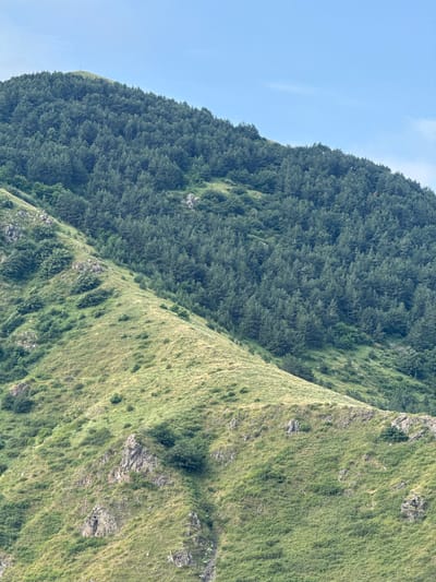 A distant, wide-angle shot captures the verdant, mountainous terrain near Nor Khachakap, Armenia. The scene is dominated by rolling hills covered in lush green grass and dense evergreen forests. A clear blue sky with a few wispy clouds stretches across the upper portion of the frame. The natural landscape appears largely untouched, showcasing the raw beauty of the Armenian highlands. No people or man-made structures are visible in this natural panorama.