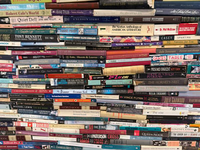 The image presents a stacked collection of various books, showcasing a wide range of genres and authors. Titles like "Baby Names 2013," "The Norton Anthology of American Literature," "Tony Bennett," "The Lovely Bones," "The Girl with the Dragon Tattoo," and "Vince Flynn" are visible. The books vary in color, size, and condition, suggesting a diverse personal library or a used bookstore collection. The overall effect is visually dense, with book spines creating a patchwork of titles and colors.