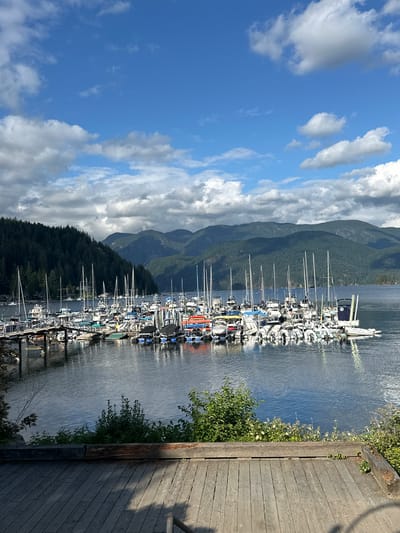 The image shows a marina filled with numerous sailboats and motorboats docked on a body of water. In the background, a dense forest covers the slopes of mountains, with more distant, hazy mountains visible under a partly cloudy blue sky. A wooden deck or pier is in the foreground, with vegetation growing along its edge. The scene is likely Horseshoe Bay in the District of North Vancouver, Canada, a known location for its picturesque marina and mountainous backdrop. There are no people visible in the image.