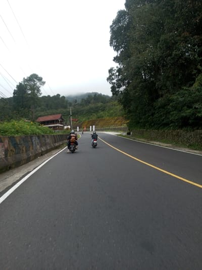 The image depicts a two-lane asphalt road in Saing Ta Mawt Lay, Myanmar, viewed from a moving vehicle on an overcast day. The road features a solid yellow center line and a solid white line delineating the left shoulder.
On the immediate left, a concrete barrier, roughly one meter high and adorned with multi-colored graffiti, runs parallel to the road. Beyond this barrier, dense green foliage and yellow flowering plants are present. Further back on the left, a multi-story building with a red-tiled roof and dark brown exterior walls is visible among trees. Overhead, multiple electrical wires span the upper left quadrant of the frame.
The right side of the road is bordered by a steep, heavily forested hillside densely covered with diverse trees and undergrowth. Further into the distance on the right, a terraced embankment with yellowish segments and a stone retaining wall are visible.
The sky is uniformly gray and overcast, with distant, tree-covered hills partially obscured by mist or low clouds. The road itself appears to curve gently to the right in the mid-ground.
Three motorcycles are traveling forward on the road, away from the viewer. The closest motorcycle, in the left lane, carries two occupants: a driver in a dark helmet and jacket, and a passenger with a light-colored backpack. A second motorcycle, ahead in the right lane, has a single rider wearing a dark helmet and clothing. A third, smaller motorcycle with a single rider is visible further in the distance on the right lane. All motorcycles are in motion.