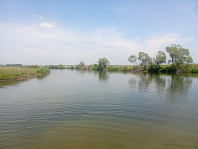The image depicts a calm river flowing through a rural landscape under a bright, partly cloudy sky. The water's surface is rippled, reflecting the trees and vegetation lining the banks. On the left bank, grassy fields and scattered bushes are visible, with a line of trees in the distance. The right bank is more densely vegetated with several mature trees that cast reflections on the water. The overall scene conveys a serene and natural setting. The location is identified as the city of Stepnoi, Russia.