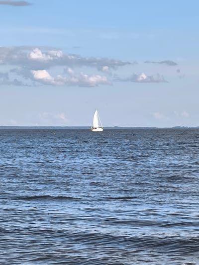A sailboat with a white sail is positioned in the middle of a body of dark blue water. The water exhibits rippling waves, suggesting a gentle breeze. In the distance, a faint landmass or horizon line is visible under a pale blue sky dotted with scattered white and gray clouds. The overall scene captures a serene, natural environment. The location is not specified in the image.