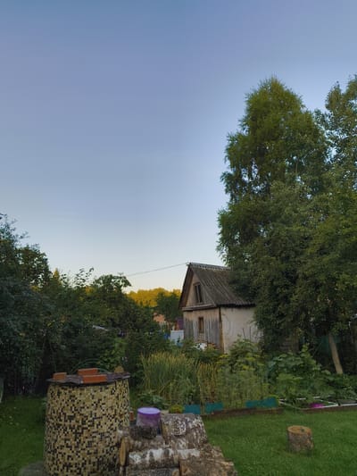 The image depicts a rural scene in Vostets SNT, Russia, likely during the late afternoon or early evening. The sky is a clear, pale blue, transitioning to a lighter hue near the horizon. In the foreground, to the left, is a cylindrical structure covered in a mosaic of small, square tiles in shades of brown, beige, and black. Three bricks are placed on top of this structure. Next to it, on the right, are several logs of wood, some with visible bark. A small tree stump with a green object inserted into it sits on the grass further to the right.
Dominating the mid-ground and right side of the image is a large, lush green tree with dense foliage. Behind and to the left of this tree is a small, weathered wooden house with a grey, corrugated roof and a single window visible on its side. The house appears to be an outbuilding or a small dwelling.
The area behind the house and to the left is filled with dense vegetation, including various trees and shrubs, some bearing small, round, yellowish fruits, possibly apples. A garden area is visible with rows of plants and green fencing or borders. Tall, thin stalks of wheat or a similar grain are also present in the garden. In the background, beyond the immediate garden and trees, a line of trees with green foliage is visible against a faintly visible tree line and the horizon. A power line stretches horizontally across the upper portion of the scene, behind the house. The overall environment suggests a garden or dacha property, common in rural Russian settings. No people are present in the image.
