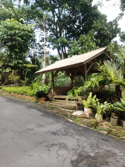 A quaint wooden gazebo sits beside a narrow asphalt road. Lush greenery envelops the structure, with trees providing ample shade. Potted plants and a variety of foliage decorate the space surrounding the gazebo, adding to the tranquil scene. The road displays signs of wear and tear, with patches and a slightly uneven surface.