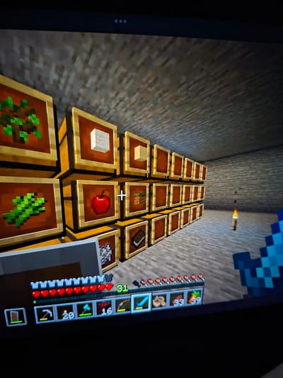 The image shows a first-person perspective screenshot from the video game Minecraft. The player is standing in a corridor with walls made of stone bricks. A lit torch provides illumination. The player is facing a long line of item frames attached to a wall. Each frame contains a different in-game item. From the front, the items are sapling, sugar canes, wool, apple, wolf, meat, bread, seeds, and leather. The player's inventory and health bar are visible on the right side of the screen. The pickaxe is selected. The image does not contain any information about the location of Galabovo, Bulgaria.