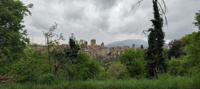 The image depicts a cityscape in Vitorchiano, Italy, viewed from a slightly elevated position. The town is characterized by dense, medieval architecture with buildings constructed closely together. A prominent tower and other architectural elements such as bell towers punctuate the skyline. The buildings appear to be made of stone or concrete, with tiled roofs. Behind the town, a mountain or hill rises against the cloudy sky.

The foreground is dominated by lush greenery, with a variety of trees and vegetation framing the town in the distance. A path leads from the front up to the edge of the town. The vegetation consists of grasses and trees. Overcast skies create diffused lighting.