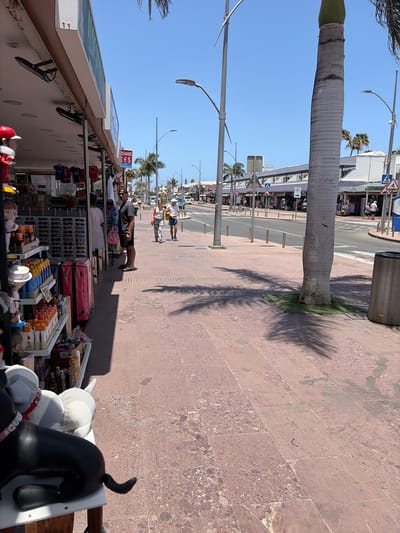 This image depicts a vibrant outdoor market or commercial street scene under a clear, bright blue sky, likely during midday or early afternoon due to the strong shadows cast by the sun. The perspective is along a reddish-brown paved sidewalk, running parallel to a road.

A large palm tree with a textured trunk stands prominently on the right side of the sidewalk, its long shadow stretching across the ground. A grey cylindrical trash can is also visible near the tree.

On the left, several market stalls are set up. The closest stall displays a variety of goods, including sunglasses, small bottles, and toys like a black dog figurine and a white and grey stuffed animal. Further down, another stall showcases sports jerseys, and a pink suitcase is seen nearby.

Multiple people are present, browsing the stalls or walking along the street. A man in a grey t-shirt and dark shorts is seen standing by a stall. In the background, white, low-rise buildings with shops line the street.

The road features white markings, including a pedestrian crossing and double yellow lines. Overhead, modern streetlights with curved arms are visible. Several road signs are present: a red-bordered triangular warning sign indicating a pedestrian crossing, a circular "30" speed limit sign, and a blue square information sign. A sign above one of the stalls clearly advertises "EXCHANGE £ $ €", accompanied by a clock-like logo. The scene conveys a leisurely atmosphere typical of a tourist-friendly area.