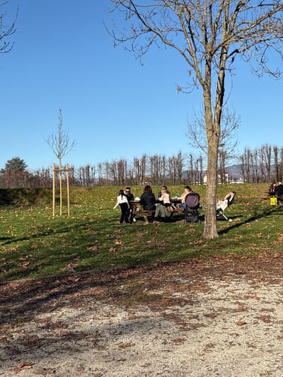 The scene depicts an outdoor park in Lucca, Italy, under a clear blue sky on a sunny day, consistent with late autumn or winter. The foreground comprises a gravel area mixed with scattered brown deciduous leaves. The midground features a grassy expanse similarly covered with leaves.

A central wooden picnic table with attached benches is occupied by a group of six individuals. One young female, wearing a white top and black trousers, stands to the immediate left of the table. An adult male and two juvenile subjects are seated on the far side. An adult female is seated on the near side, with her back to the viewer, and another adult female is seated on the far right. White containers are visible on the table surface. A dark baby stroller is positioned to the immediate right of the table, and a light-colored reclining baby carrier is on the ground further right.

To the right, a large, bare-branched deciduous tree rises from the midground, casting a shadow towards the left. A second, partially visible wooden picnic table is located further right, with one individual seated and a yellow item on its surface.

The background features a low grassy rise topped by a linear arrangement of numerous slender, bare deciduous trees. Distant hills are visible beneath the horizon. A young, bare-branched tree supported by wooden stakes is present in the left midground, and a larger evergreen tree is visible on the far left horizon.