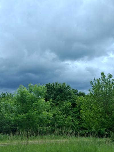 The image shows a cloudy sky over a dense line of green trees. The sky is a mix of dark gray and lighter gray clouds, suggesting an overcast or stormy day. The trees are lush and full, with various shades of green indicating different species or light conditions. The foreground consists of a blurry band of green grass, indicating movement or a shallow depth of field. There are no people or visible structures in the image. The scene appears to be a natural landscape, possibly a roadside view. Without further information, the specific location within Balbieriškis, Lithuania cannot be determined.