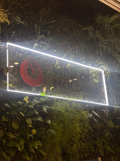 A vertical photograph captures an illuminated sign set within a dense, multi-species green wall. The sign is rectangular, demarcated by a continuous, bright white LED light strip. Inside the illuminated frame, a red, stylized emblem is positioned on the left, depicting two curved, drop-like shapes encompassing a cluster of small circular elements. To the right, dark, raised lettering spells "WINE OF MOLDOVA," with portions of the text partially obscured by foreground foliage. The green wall comprises various plant types, including broad-leafed specimens, ferns, and trailing plants, appearing verdant. A plant with a white spathe is visible towards the lower-left of the sign. The immediate environment around the sign is brightly lit, while the areas beyond the LED outline appear dark. No individuals are present. This scene is located in the city of Bubuieci, Moldova.