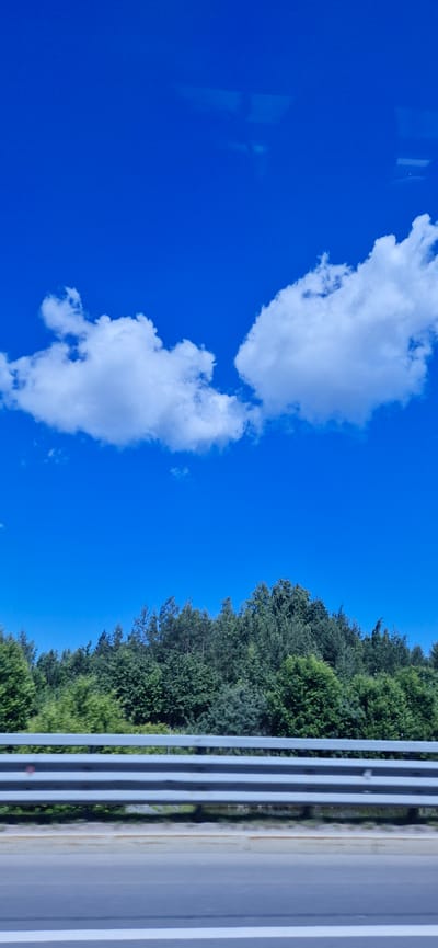 The image is a vertical, eye-level shot of a highway scene under a bright blue sky with scattered white clouds. In the foreground, a highway guardrail with multiple horizontal metal bars runs across the frame, separating the road from the embankment. Beyond the guardrail, a dense line of green trees forms the horizon. The trees vary in height and density, creating a lush, natural barrier. The sky occupies the upper two-thirds of the image, with two distinct cloud formations. The overall scene suggests a rural or suburban setting, possibly viewed from a vehicle in motion. The location is identified as Zhilgorodok, Russia. There are no people visible in the image, and no specific actions are depicted. The environment is natural, with the man-made elements of the highway guardrail and road being the primary objects.