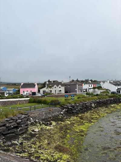 This image depicts a scenic view of Portmagee, Ireland, on a cloudy day. In the foreground, the water is filled with a thick growth of green and brown seaweed, creating a textured surface. A stone wall, constructed from dark, irregular rocks, runs along the edge of the land. Behind the wall, a manicured green lawn is visible, with a black metal fence bordering it. Beyond the lawn, a row of colorful houses lines the street, with a pink house being a prominent feature. The houses are of varying architectural styles and colors, including grey, white, and brightly painted facades. Some cars are parked along the street. In the background, the sky is overcast, with a light fog obscuring the distant landscape and hills. The overall atmosphere is one of a coastal village on a somewhat muted day.