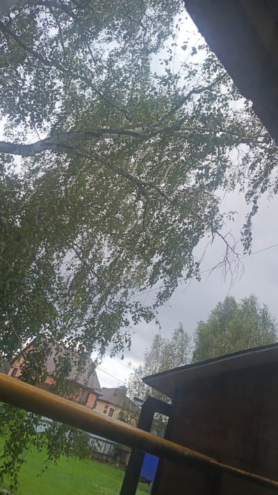 The image, taken from a low angle looking upwards, depicts a cloudy sky partially obscured by the branches and leaves of a birch tree. In the foreground, a thick yellow pipe runs diagonally across the frame. Behind the pipe, a wooden structure with a peaked roof is visible on the right. Further back, several houses with tiled roofs are seen, set against a backdrop of green grass and more trees. The overall scene suggests a residential area.