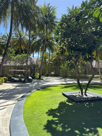A golf cart is parked on a sandy path in front of a thatched-roof building in the Maldives. The cart is white and has a tan canopy. The building is surrounded by palm trees. In the foreground, there is a patch of green grass with a tree in the center. The tree has white flowers and is planted in a square planter filled with white stones. The sky is blue and there are some clouds. The image is taken from a slightly high angle, looking down at the scene.