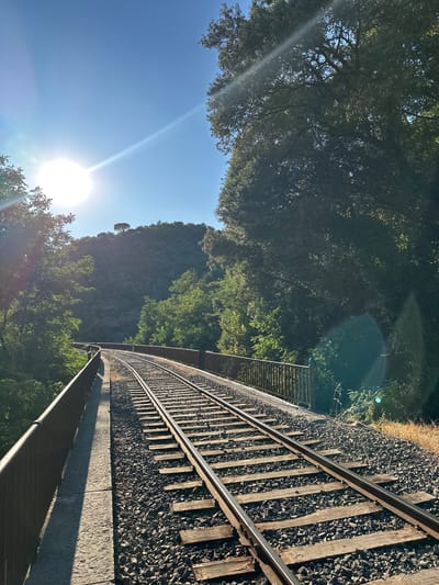This is a vertical, eye-level, medium shot of a curved railroad track on a bright, sunny day in Générargues, France. The sun is in the upper left corner of the frame, casting a lens flare across the blue sky. The railroad tracks, made of wood and gravel, curve to the left and recede into the distance. On either side of the tracks are metal railings, and beyond the railings, lush green trees and a hillside covered in trees. A single, tall evergreen tree stands atop the hill. The scene is serene and natural.