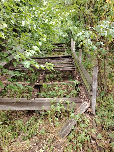 An outdoor, eye-level, medium shot captures an old, decaying wooden staircase ascending a vegetated incline. The staircase, constructed from weathered planks and support beams, is in disrepair, with several steps broken or missing. Green leaves from surrounding trees and vines drape over and around the structure, obscuring portions of it. The ground is covered with fallen leaves and undergrowth. The scene appears to be located in Balyko-Shchuchynka, Ukraine, suggesting a rural or overgrown environment.