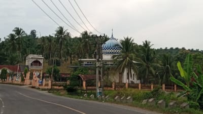 The image shows a mosque with a blue and white patterned dome, situated on a hillside in Aluerambong, Indonesia, surrounded by lush green vegetation and palm trees. A road curves in the foreground, with a concrete barrier and some grass along its edge. A tall utility pole with wires stretches across the sky above the scene. To the left of the mosque, a multi-story building with arched windows is visible. Several flags, some appearing to be Indonesian national flags, are displayed along a fence in front of the buildings. The sky is overcast.