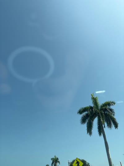 The image captures a clear blue sky with a distinct halo-like optical phenomenon, possibly a parhelic circle or a sun dog, visible in the upper left quadrant. A tall palm tree with lush green fronds dominates the right side of the frame, its trunk angled upwards. In the lower left, a bright yellow pedestrian crossing sign is partially visible. The scene appears to be outdoors, likely in a warm climate, given the presence of the palm tree and the clear sky. The environment suggests a street or public area, with the pedestrian sign indicating proximity to a roadway. The image was taken in Holmes Beach, United States of America.