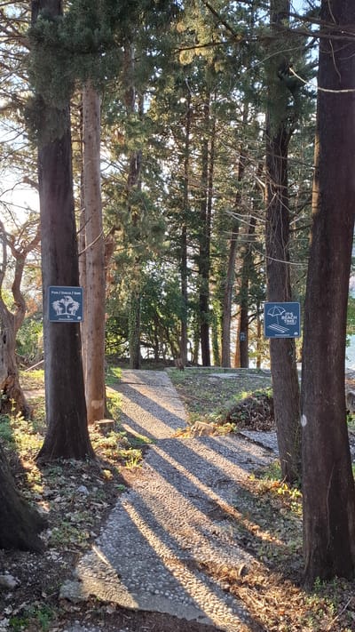 The image shows a stone pathway bordered by trees in Podbadac, Montenegro. Each tree has a sign attached to it, one reading "IT'S BEACH TIME" with an umbrella graphic and another with palm trees reading "Fun / Disco / Sun". Sunlight filters through the trees, casting shadows on the pathway. The environment suggests a park or garden setting. No people are visible.