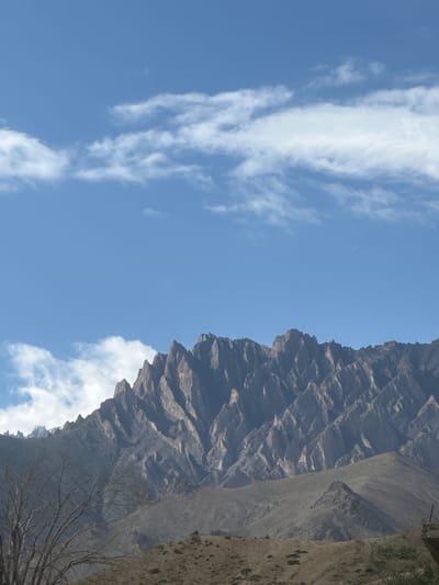 The image depicts a mountainous landscape under a bright blue sky with scattered white clouds. The foreground features a barren, dry, earthy terrain with sparse vegetation and a leafless tree on the left. In the midground, rolling hills ascend towards the imposing, jagged peaks of a mountain range that dominates the background. The mountains are characterized by sharp, angular formations and appear to be composed of rocky, arid slopes. The overall scene suggests a remote, high-altitude environment. The location is specified as Bodhkharboo, India, indicating a mountainous region within the country. There are no people or visible animals in the image, and no specific actions or interactions are occurring. The focus is solely on the natural environment.