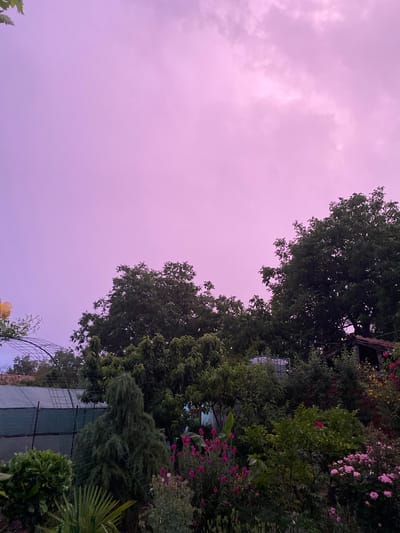 The image shows a view towards the sky, which has a purple hue likely due to lighting or post-processing. The foreground consists of lush greenery, including trees, bushes, and flowering plants. A structure with a green covering and an arched trellis is visible. The location is described as Bratia Kunchevi, Bulgaria.