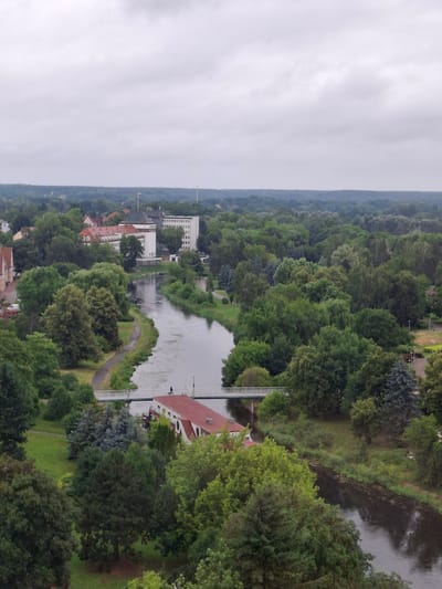 This is an aerial, rotated image capturing a riverside town in Pila, Poland. The scene is dominated by lush green trees lining the winding river, creating a dense forest on the far bank and interspersed within the town. Several buildings with red-tiled roofs are visible, some appearing to be residential or commercial, nestled amongst the trees. A prominent white building with multiple windows stands out on the left side of the riverbank, possibly a larger establishment or factory. A white bridge crosses the river, offering a pathway between the two sides. The river itself appears calm with some reflections on its surface. The sky is overcast, suggesting a cloudy or misty day, likely in the morning or late afternoon given the diffused light. There are no visible people in the image, but the presence of the bridge and buildings indicates a populated area. The overall impression is one of a tranquil, verdant European town with a strong natural setting.