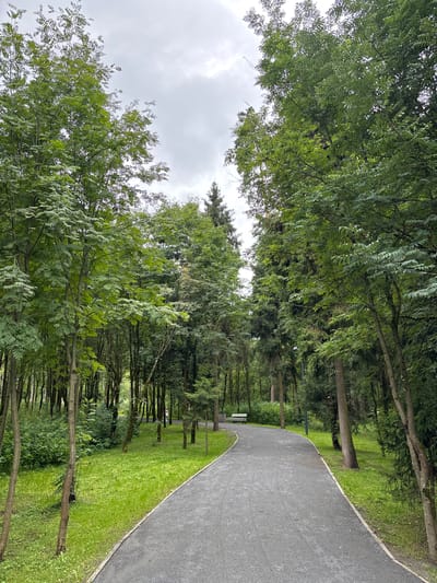 The image depicts a paved pathway winding through a park with lush green grass and abundant trees. The sky is overcast with clouds. In the distance, a park bench is visible, and a lamppost stands near the pathway. The scene appears to be a tranquil outdoor setting, likely within the city of Pavlovskaya Sloboda, Russia, given the context.