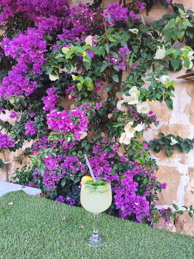 A well-lit, full shot shows a glass of mojito on artificial turf in San Ġwann, Malta, set against a wall covered in flowering bougainvillea. The mojito, garnished with mint and a lemon slice, features a straw and sits in a wine glass. The wall behind the mojito is made of light brown stone and covered by the bougainvillea, which has purple and white flowers interspersed with green leaves. The artificial turf, with a dense green color, is in the foreground. A corner of what appears to be a white marble or stone surface can be seen on the left.