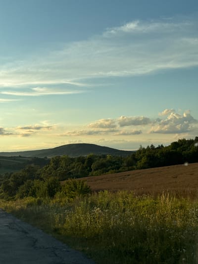 This is a vertical, eye-level photograph of a rural landscape with a road in the foreground and rolling hills in the background. The scene is lit by the golden light of what appears to be sunset or sunrise.
In the foreground, to the left, is a dark grey asphalt road, partially visible. To the right of the road is a strip of tall, green grass and wildflowers, some with small white blooms, illuminated by the low-angle light.
The middle ground of the image features a gently sloping field of dry, brown vegetation, likely harvested crops or hay. Beyond this field is a dense forest of dark green trees that covers the lower slopes of the hills.
The background is dominated by layered, tree-covered hills that recede into the distance. The furthest hills are bathed in a soft, hazy light. Atop the central hill is a rounded, tree-covered peak.
The sky above is a clear, pale blue with scattered wisps of white clouds. Some of these clouds are tinged with yellow and orange light from the sun.
The photograph does not contain any people or animals. The environment appears to be a natural, undeveloped rural area. The location is identified as Pavliv, Ukraine.