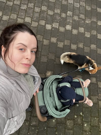 A woman is taking a selfie while walking a corgi and pushing a baby in a stroller on a paved walkway. The baby is wearing mittens and a hat. The stroller is a light green color. The woman is wearing a gray jacket. The corgi is on a leash. The walkway is made of rectangular pavers.