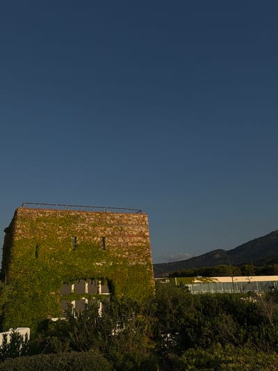The image shows a stone tower partially covered in green ivy, with a large window on its side. In the background, a modern building with large glass windows is visible, set against a backdrop of lush vegetation and a distant mountain range under a clear blue sky. The tower appears to be an old structure, possibly a historical monument, while the building in the background suggests a contemporary development. The scene is set in a natural environment with ample greenery, hinting at a rural or semi-rural location. There are no people or animals visible in the image. The lighting suggests it is daytime, possibly late afternoon or early morning, given the soft shadows. The location is identified as being in the city of Finale, Italy.