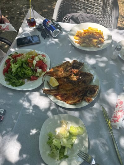 An overhead, eye-level shot captures a table set for a meal outdoors, with dappled sunlight filtering through tree leaves onto the white tablecloth. The table is laden with several plates of food, cutlery, and drinks. In the foreground, a white plate holds a small portion of lettuce. To its right, a silver knife rests on the tablecloth, next to a folded white napkin with a pink floral pattern. Further up the table, a plate contains three fried fish and a lemon wedge. To the left of the fish, a large plate is filled with a fresh salad of lettuce, tomatoes, cucumbers, and onions. To the left of the salad, a glass of dark liquid with a straw stands next to a can of Pepsi. A smartphone and two pairs of sunglasses are placed near the drink. In the background, a dark grey woven chair is visible, suggesting an outdoor seating area. The overall impression is of a relaxed outdoor dining experience in Bërdicë, Albania, possibly at a restaurant or cafe, given the presence of multiple place settings and the food presentation. The presence of a cigarette pack in the lower left corner indicates a smoker is present or has been at the table.