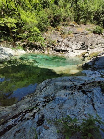 A natural swimming pool of clear, turquoise water is situated within a rocky gorge, surrounded by lush green vegetation and trees. Sunlight filters through the leaves, casting dappled shadows on the water and rocks. The water is shallow enough in places to see the pebbles on the bottom. The scene is serene and untouched, suggesting a secluded natural environment within the Municipal Unit of Melivia, Greece. There are no people or animals visible in the image.