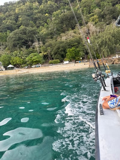 This image depicts a view from a boat moving through clear, turquoise water. The boat has several fishing rods mounted on its side, with reels visible. In the foreground, a person's arm and shoulder are visible, wearing a blue and white patterned garment. The background shows a lush, green, forested hillside that slopes down to a sandy beach. Along the beach, there is a stone wall, some palm trees, a small white gazebo, and several vehicles including cars and what appear to be campervans. The scene is likely a coastal area of Christmas Island, Australia, known for its abundant marine life and tropical environment.