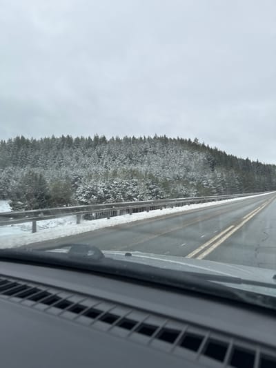 The image depicts a road scene in Osinovka, Polozovskii S/S, Russia. A snow-covered forest borders the road on one side. The asphalt is visible with yellow dividing lines. The photo is taken from inside a vehicle, with a portion of the dashboard visible. The sky is overcast. No people are visible.