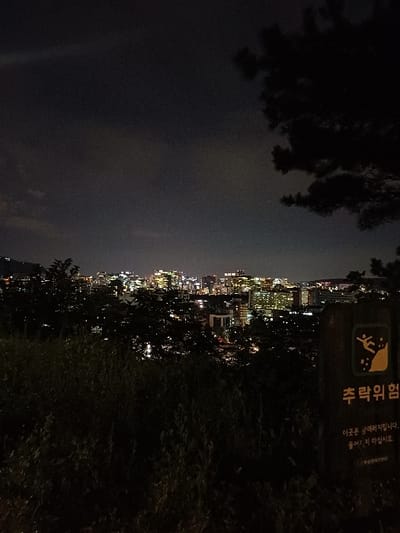 The image presents a nighttime panoramic view of the city of 성북구, South Korea, observed from an elevated, vegetated vantage point. The foreground is dominated by dark, silhouetted vegetation, consisting of various bushes and trees, with a dense canopy forming a dark silhouette against the illuminated city. On the right side, a dark wooden warning sign is prominently visible. The sign features a square, light-colored emblem at its top, depicting a black stick figure falling off a cliff. Below the emblem, Korean text in a light color reads "추락 위험" (Fall Hazard), followed by additional smaller Korean text that translates to a warning about unstable ground and advising against approaching. A dark tree branch with foliage extends into the upper right corner, silhouetted against the sky. The mid-ground and background reveal an extensive urban landscape characterized by numerous buildings with a multitude of yellow and orange artificial lights, indicating a bustling city at night. The illuminated structures vary in height and density, stretching across the horizon. The sky above is dark and cloudy, with no discernible celestial bodies. No individuals, actions, or interactions are depicted within the scene.