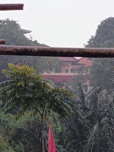 The image presents an obscured view of a tropical landscape in Welaluhu, East Timor, dominated by lush green foliage and several buildings with distinctive architecture. A thick, dark wooden beam or railing crosses horizontally across the mid-section of the frame, suggesting the vantage point is from a balcony, lookout, or elevated structure.

Below the beam, dense tropical vegetation fills the lower part of the scene, featuring various trees with rich green leaves, including a prominent tree with compound leaves in the center-left and darker, palm-like foliage on the right. A vibrant red piece of fabric, possibly a flag or banner, is partially visible at the bottom left corner.

Through and above the verdant canopy, multiple buildings with reddish-brown tiled roofs are scattered. One structure is partially visible on the upper left, peeking above the wooden beam. Further back and slightly lower, a more extensive building complex with similar tiled roofs and light-colored walls or pillars is nestled amongst the trees. The architecture suggests a style common to tropical regions.

The sky is uniformly overcast and light gray, casting a soft, diffused light over the entire scene. The atmosphere appears slightly hazy or misty, indicating high humidity or a cloudy day, consistent with a tropical climate. No people or specific activities are visible, and there is no discernible text within the image. The overall impression is one of a tranquil and secluded setting, deeply integrated with nature.