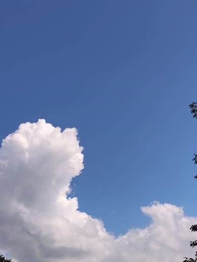The image shows a bright blue sky with several large, white, cumulus clouds. On the left side of the frame, a prominent cloud formation dominates the lower portion of the sky. In the upper right corner, the dark leaves and branches of a tree are visible, obscuring a small portion of the sky. The scene is likely an outdoor environment, possibly a park or natural area, given the presence of trees and the open sky. There are no people or specific architectural features of Венюково, Russia visible in this image.