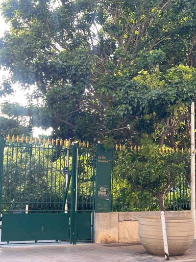 The image captures the entrance to Jardin Alexandre 1er in Toulon, France. A green metal fence with golden decorative points runs across the frame, separating the street from the garden. Behind the fence, lush green trees and foliage are visible, with sunlight filtering through the leaves. A large green signpost is positioned just inside the fence, bearing the inscription "Jardin Alexandre 1er" and what appears to be a diagram or map. In the foreground, to the right of the entrance, is a large, ribbed, light-colored planter. The ground in front of the fence is paved with light-colored stones. The overall scene suggests a public park entrance on a sunny day.