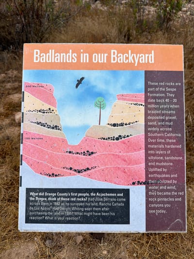 This media file features a close-up, slightly angled shot of an informational sign about the "Badlands in our Backyard." The sign is placed outdoors, with dry, grassy vegetation and dirt visible in the foreground and background, suggesting a natural, arid environment. The sign itself is colorful, depicting a cross-section of geological layers and a stylized landscape with a tree and a bird in flight.
The sign is divided into two main sections of text. The larger section, on the left, is an orange panel with white, bold lettering that reads "Badlands in our Backyard." To the right of this is a brown panel containing explanatory text about the red rocks. This text details their origin from the Sespe Formation, dating back 40-20 million years, formed from braided streams depositing gravel, sand, and mud. It explains how these materials hardened into siltstone, sandstone, and mudstone, and were later uplifted by earthquakes and sculpted by water and wind into pinnacles and canyons.
Below the geological illustration, a black panel presents a series of questions related to the history of the land and its people. It asks what the Acjachemen and Tongva people thought of the rocks, and if historical figures like Jose Serrano or Dwight Whiting observed them. The questions conclude by asking the viewer for their own reaction.
Visible text includes "200 METERS" and "100 METERS" near the bottom of the illustrated geological layers. A credit at the bottom right of the sign reads "Illustration by Chris Thornburg." The image appears to be taken during the daytime, with natural lighting illuminating the sign and its surroundings. The setting strongly suggests an outdoor location in a natural park or geological area.