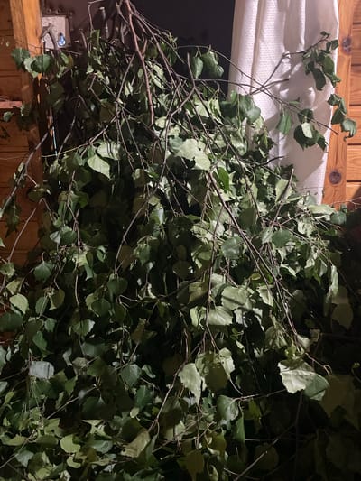 The image depicts a close-up view of a large bundle of birch branches with green leaves. The branches are hanging down, some resting against a textured white curtain on the right and against wooden paneling on the left. The wooden paneling appears to be part of a wall or structure. There is a faint light source visible behind the branches on the left, appearing as a blue glow. The scene is dimly lit overall, with the focus being on the foliage and branches. The setting is indoors, potentially a sauna or bathhouse, consistent with the practice of using birch branches for steam baths in Russia, including in cities like Mirnyy. There are no people or active events visible in the image.